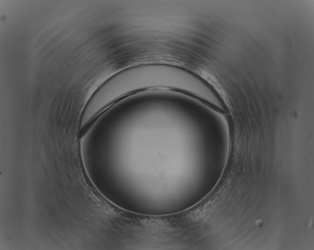 X0000089661089200707121153