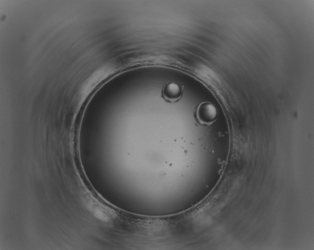 X0000089661090200707121153