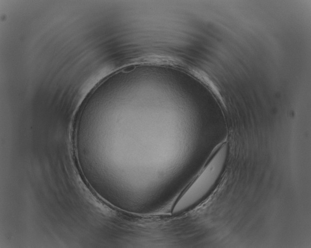 X0000089661091200707121153