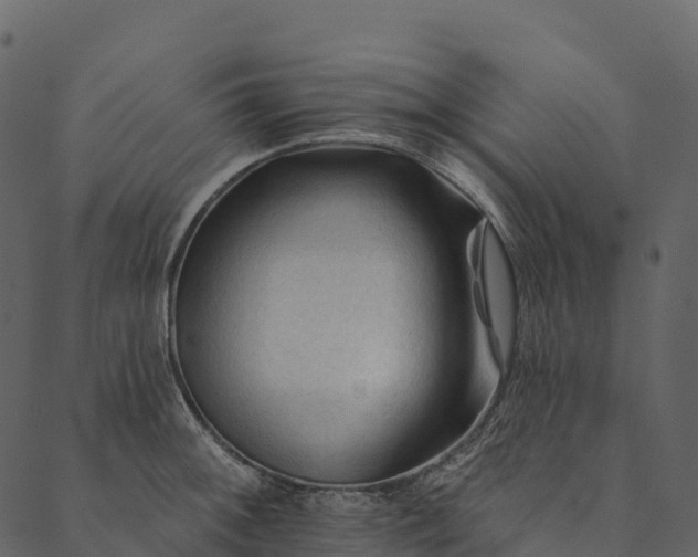 X0000089661092200707121153