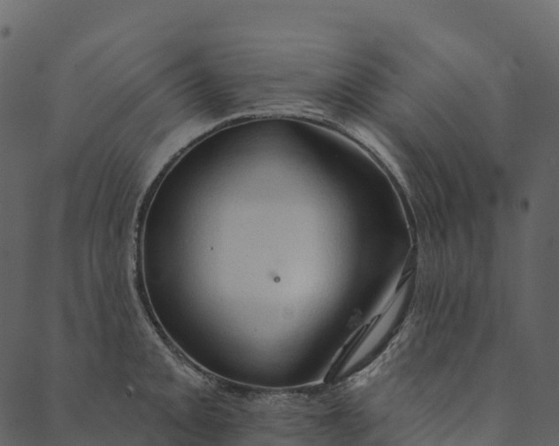 X0000089661093200707121153