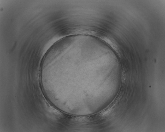 X0000089661094200707121153