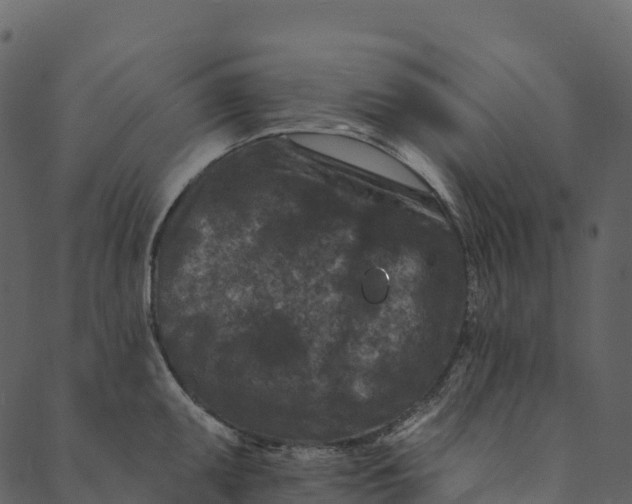 X0000089661095200707121153