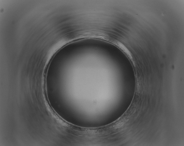 X0000089661096200707121153