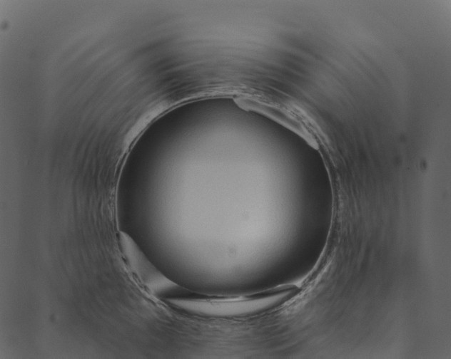 X0000089661097200707121153