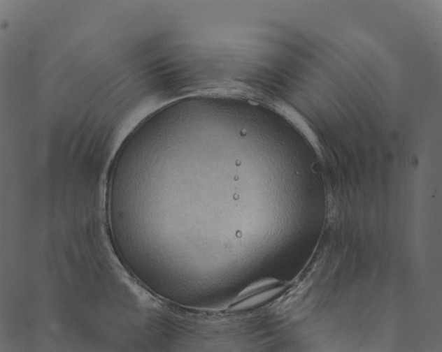 X0000089661099200707121152