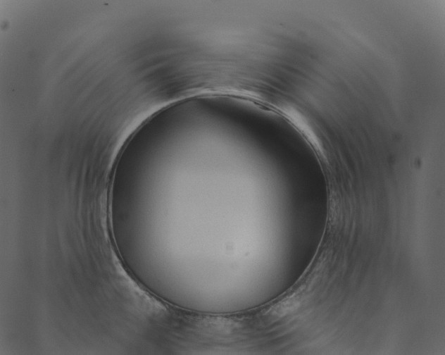 X0000089661100200707121152