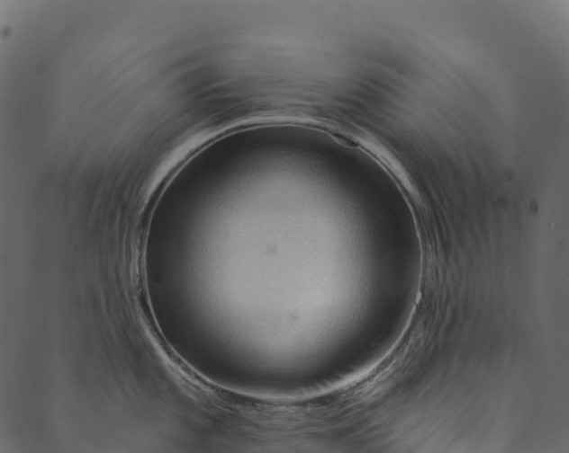 X0000089661101200707121152