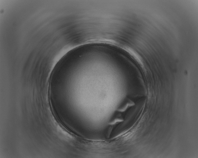 X0000089661102200707121152