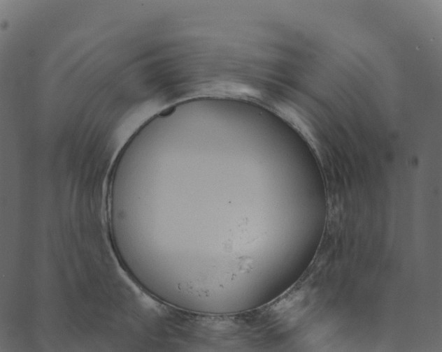 X0000089661103200707121152