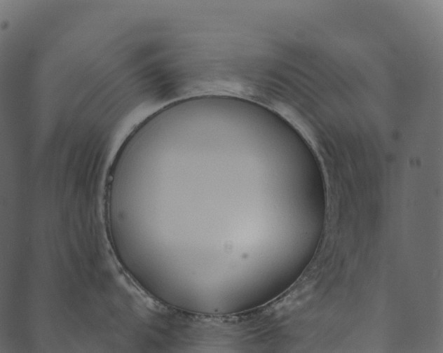 X0000089661104200707121152