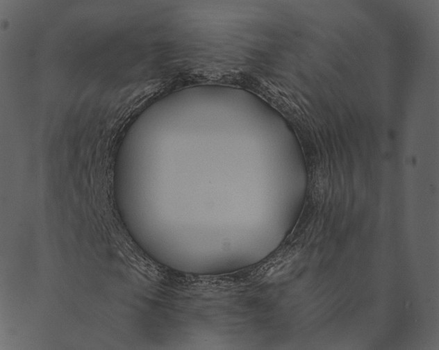 X0000089661105200707121152