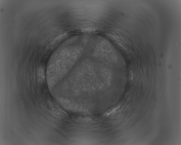 X0000089661106200707121152