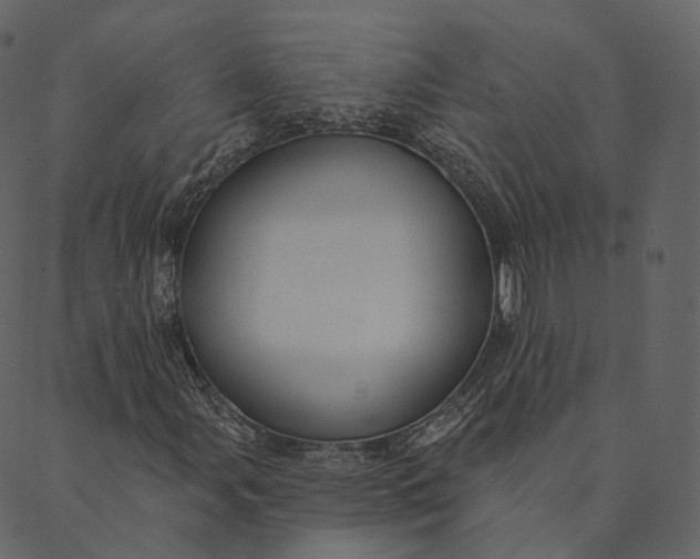 X0000089661107200707121152