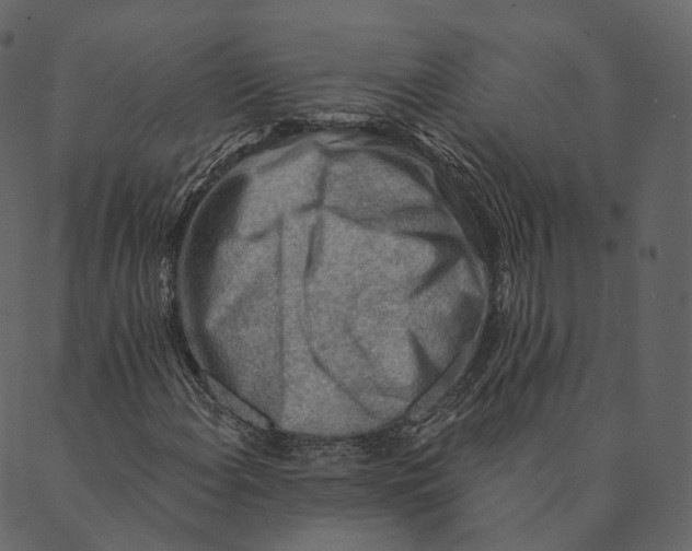 X0000089661108200707121152