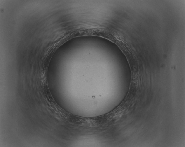 X0000089661109200707121152