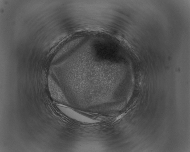 X0000089661110200707121152