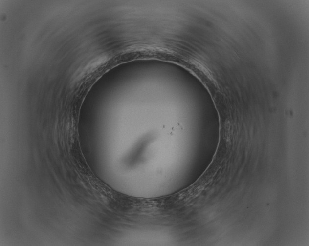 X0000089661111200707121152