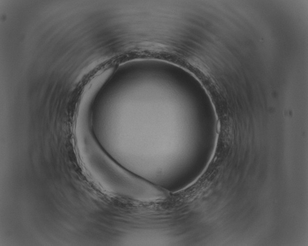 X0000089661112200707121152