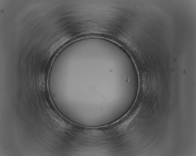 X0000089661113200707121152