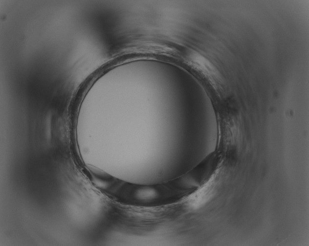 X0000089661114200707121152