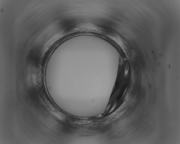 X0000089661115200707121152