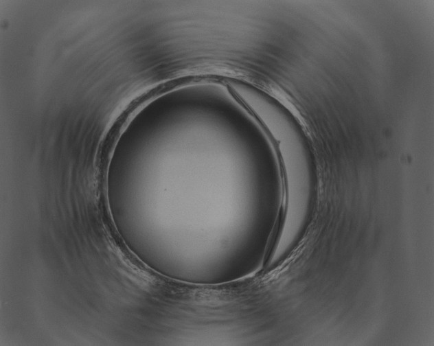 X0000089661116200707121152