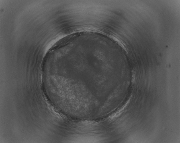 X0000089661117200707121152