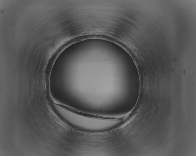 X0000089661118200707121152