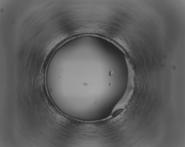 X0000089661119200707121152