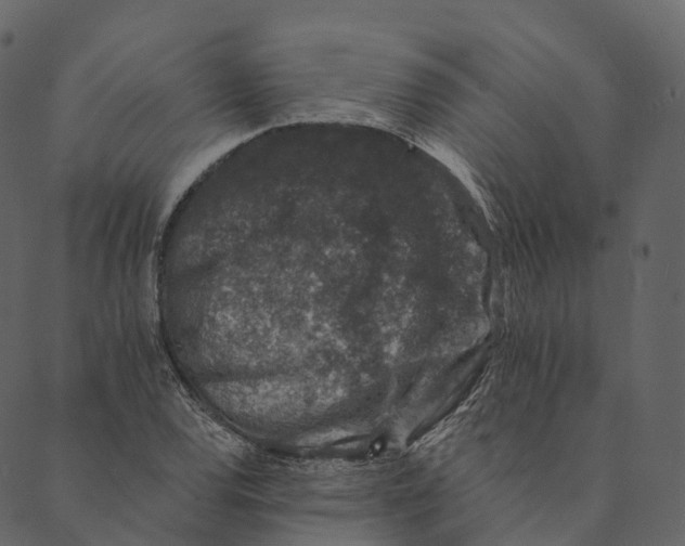 X0000089661120200707121152