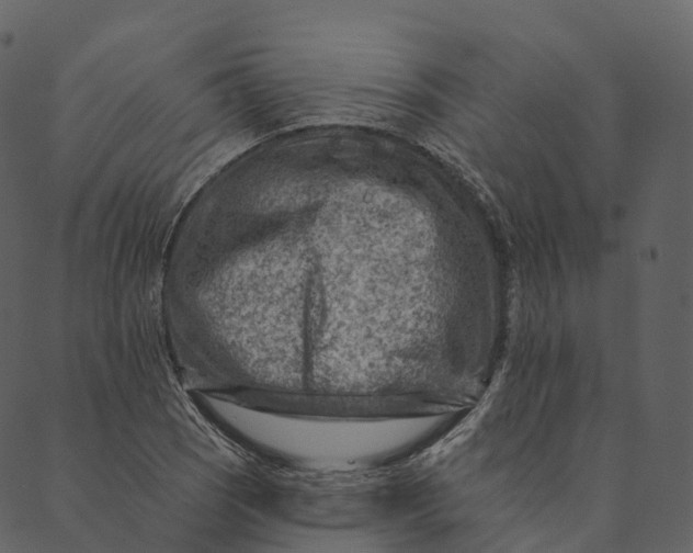 X0000089661121200707121152