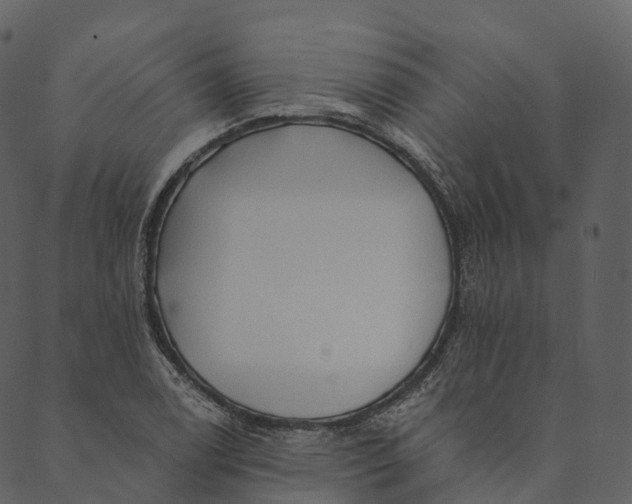 X0000089661122200707121152