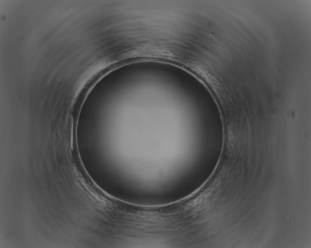 X0000089661123200707121152