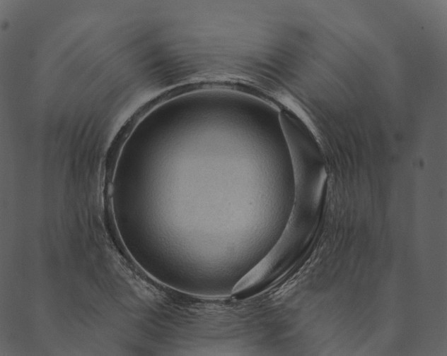 X0000089661124200707121152