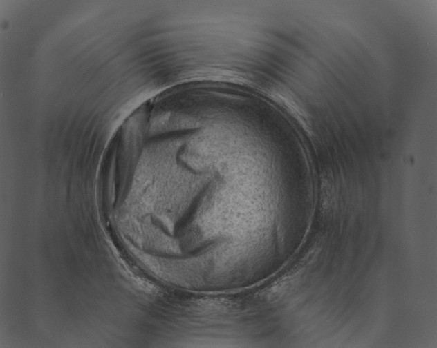 X0000089661125200707121152