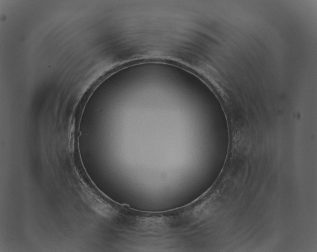 X0000089661126200707121152