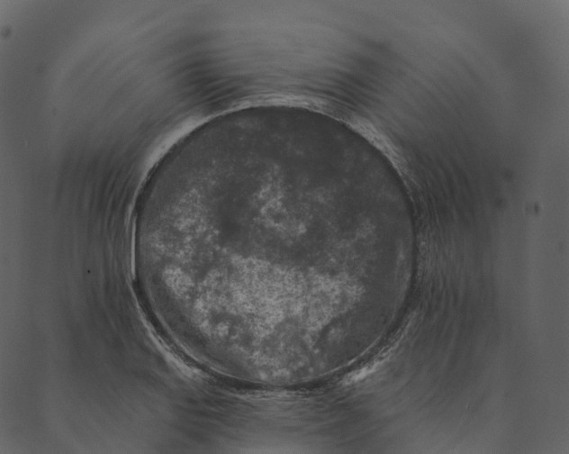 X0000089661127200707121152