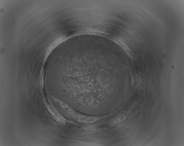 X0000089661128200707121152