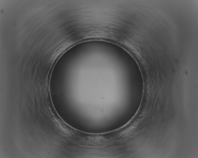 X0000089661129200707121152