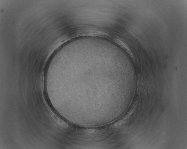 X0000089661130200707121152