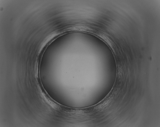 X0000089661131200707121152