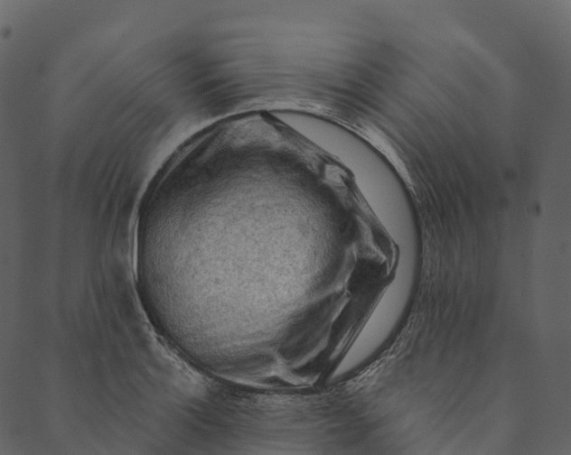 X0000089661132200707121152