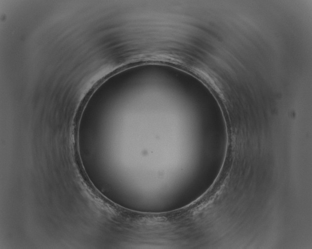 X0000089661133200707121152