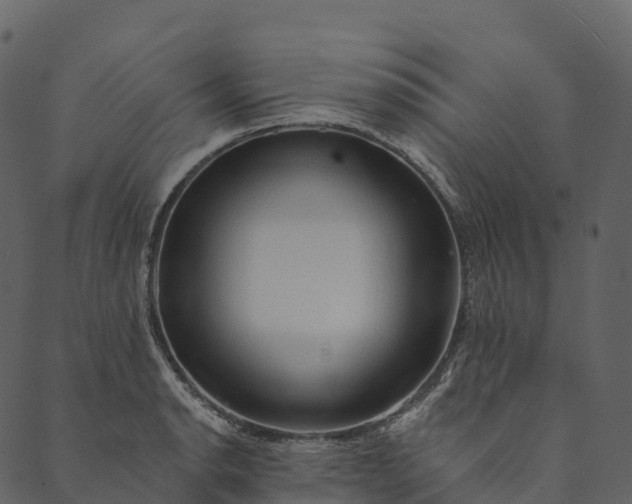 X0000089661134200707121152