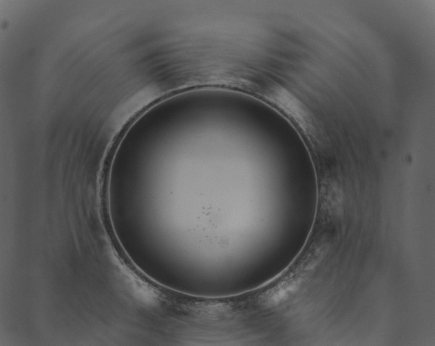 X0000089661135200707121152