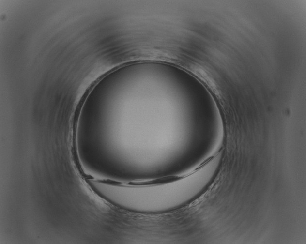 X0000089661136200707121152