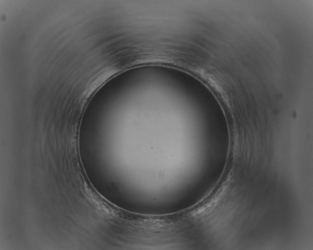 X0000089661137200707121152