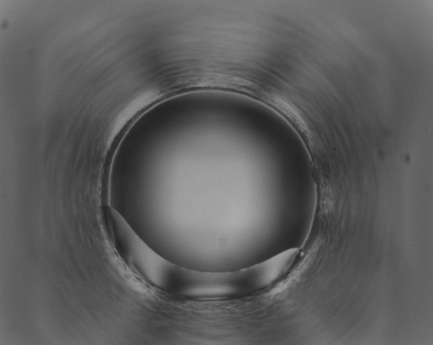 X0000089661138200707121152