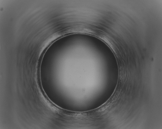 X0000089661139200707121152